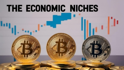 The Economic Niches that Cryptocurrencies Have Occupied