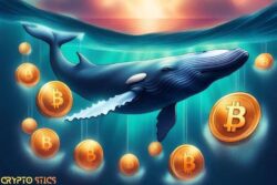 $749 Million Crypto Transfer by Whales Transfer by Whales Abruptly
