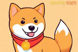 Shiba Inu Makes Official Announcement on SHIB Wallet Preorder Date