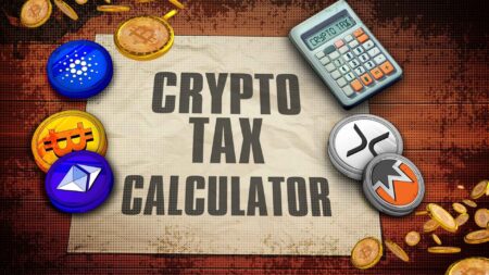 Fix Sync Error 9000 in Crypto Tax Calculators